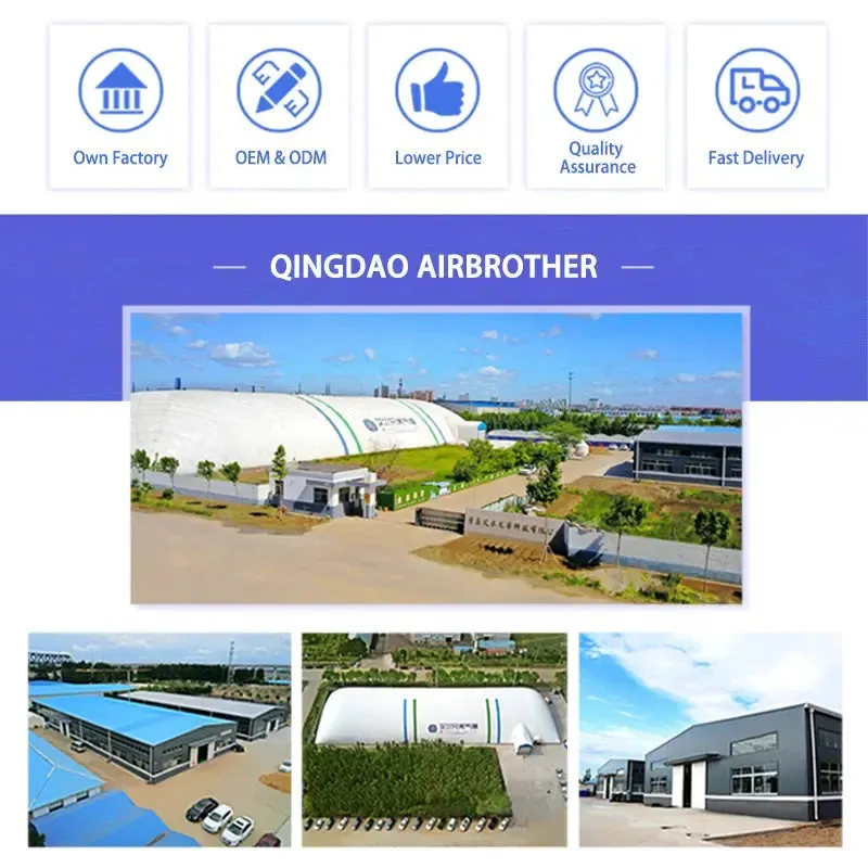 China Professional Manufacturer Customized Small Inflatable Tent for Camping