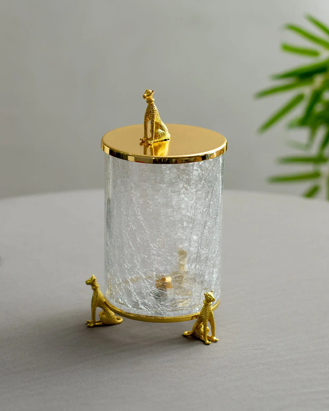 'Leopard' Fracturing Glass Containers - Set of 3