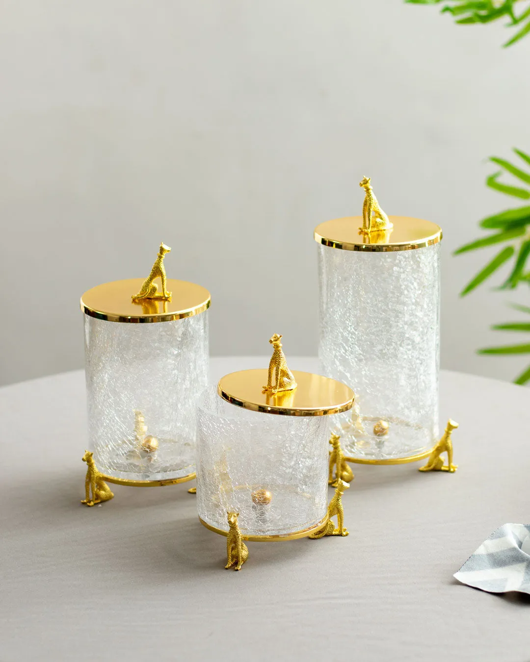'Leopard' Fracturing Glass Containers - Set of 3