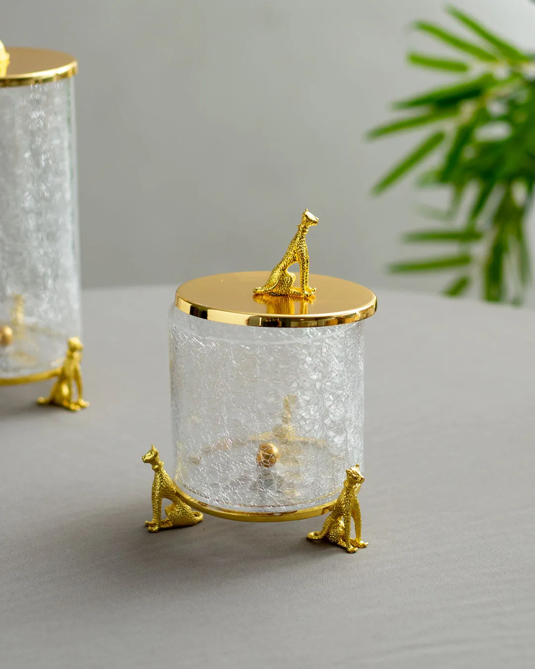'Leopard' Fracturing Glass Containers - Set of 3