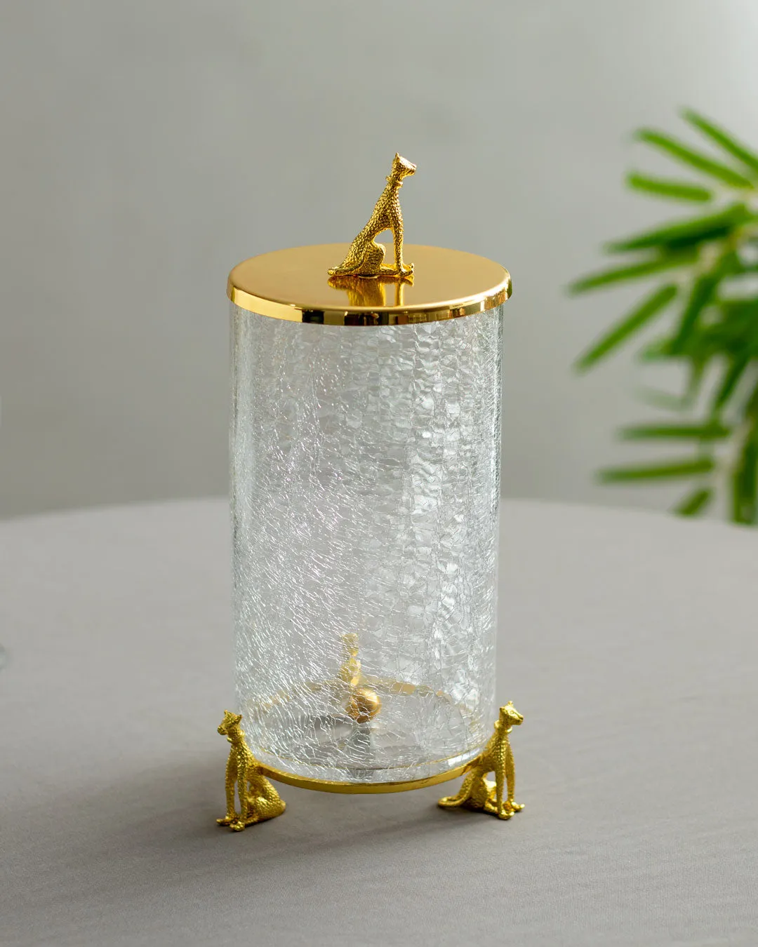 'Leopard' Fracturing Glass Containers - Set of 3
