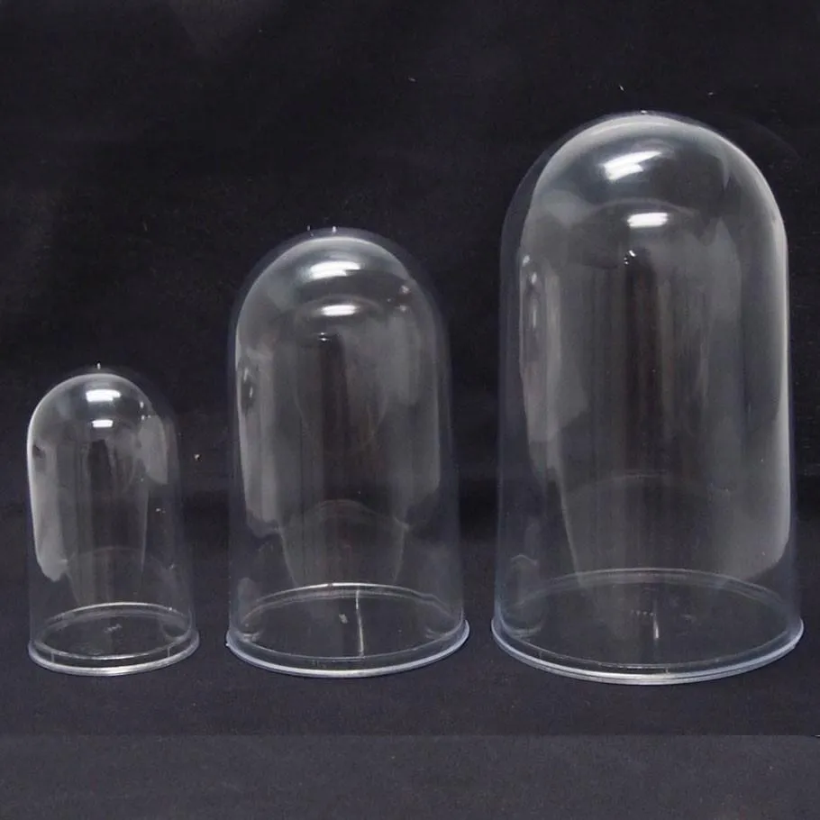 Plastic Dome Display Case, Clear Base