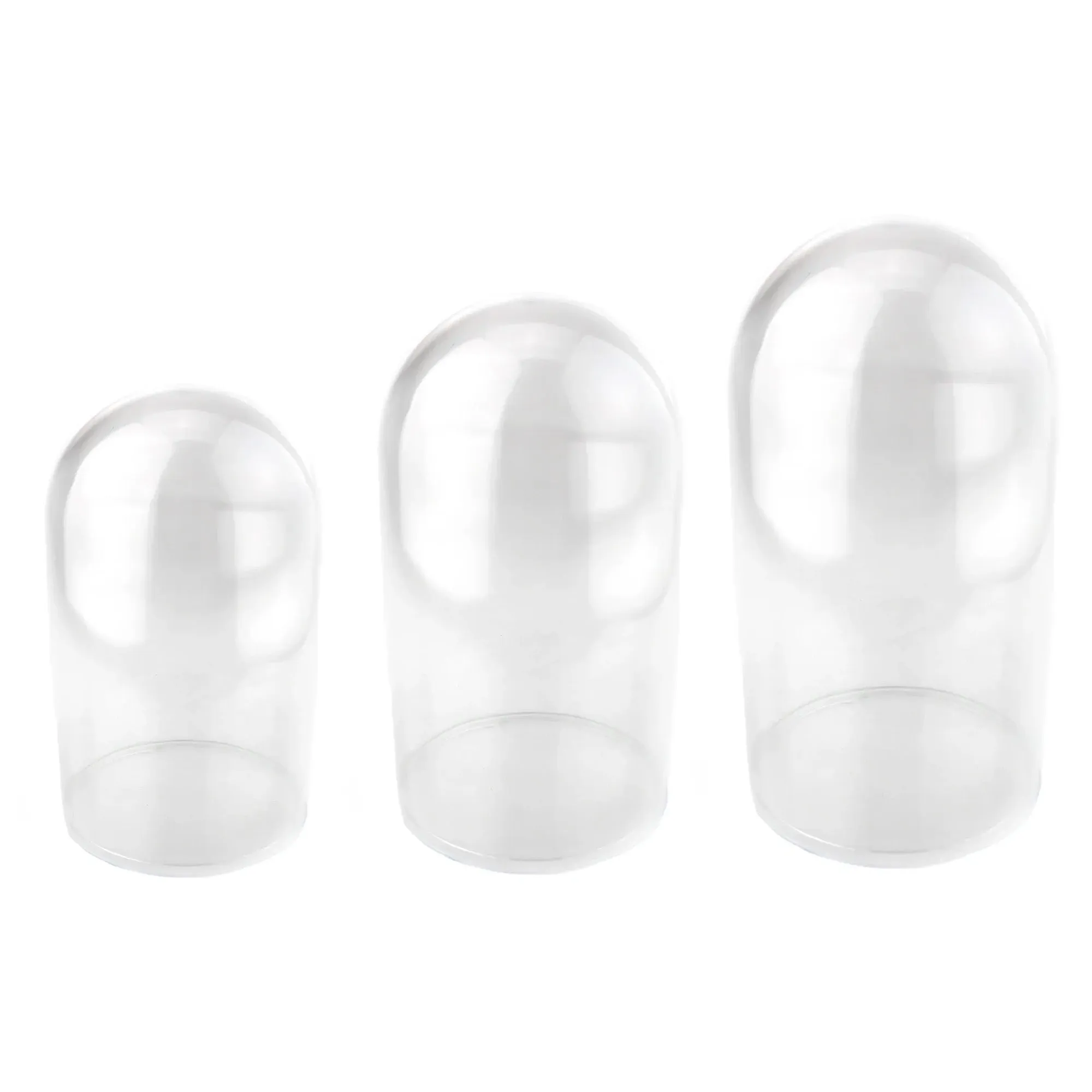Plastic Dome Display Case, Clear Base